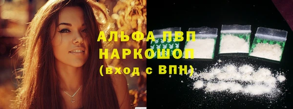 ECSTASY Пересвет