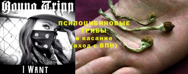 метадон Арсеньев