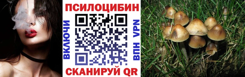 Купить закладки  Гусиноозёрск  Псилоцибиновые грибы мицелий 